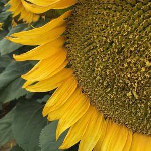 Meet your Posher, Becky